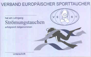 Einkleber